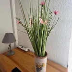 Appartement Climatisé Avec Jardin Et à 250m