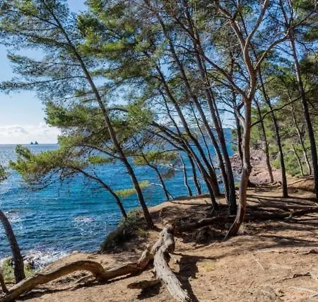 Climatise Avec Jardin Et A 250m Apartament Saint-Mandrier-sur-Mer