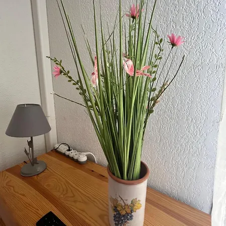 Apartment Climatise Avec Jardin Et A 250m