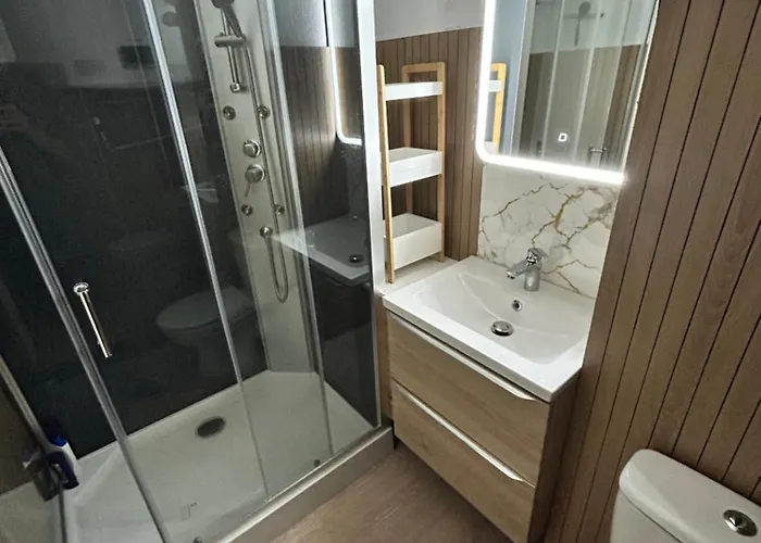 Appartement Climatise Avec Jardin Et A 250m